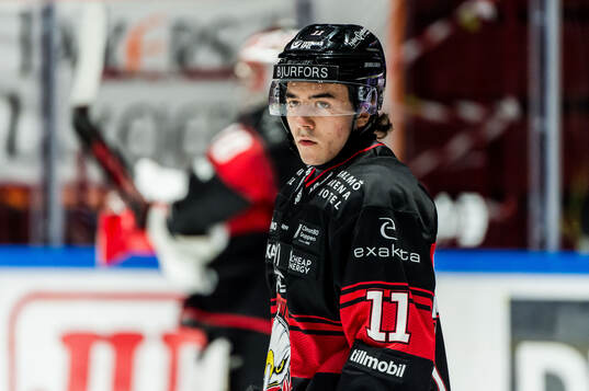 Malmö Redhawks Elia Pedrotti