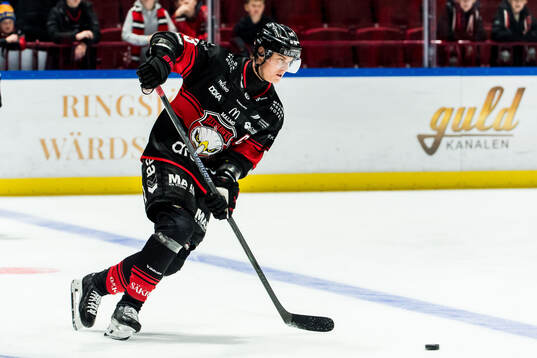 Malmö Redhawks Fredrik Händemark