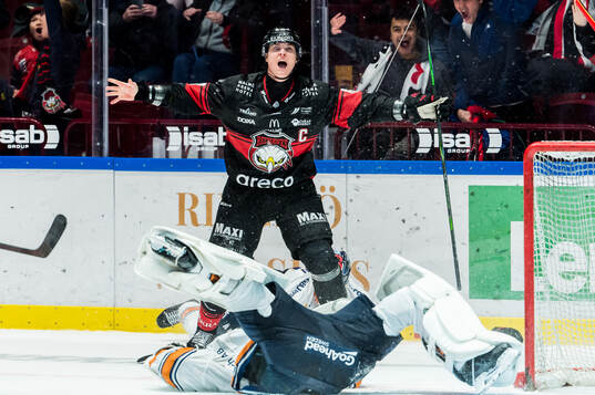 Bläddra bland fler bilder av Ishockey, SHL, Malmö Redhawks - Växjö
