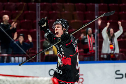 Malmö Redhawks Fredrik Händemark jublar