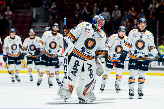 Växjös målvakt Ludvig Persson deppar