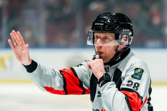 Domare Mikael Holm