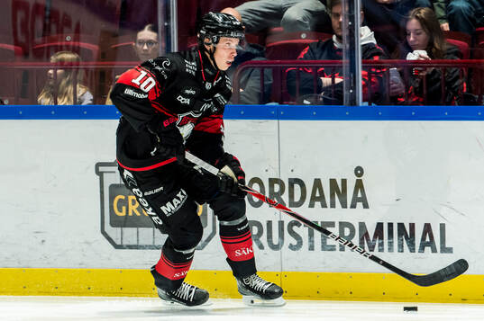 Malmö Redhawks William Von Barnekow