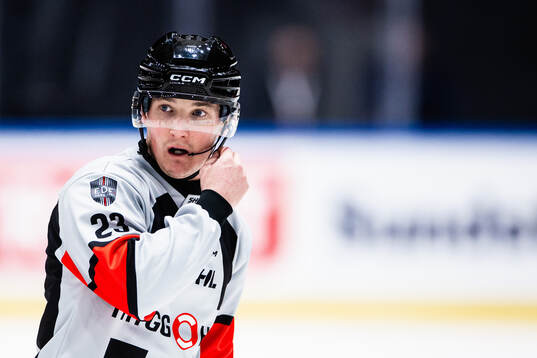 Domare Alexander Österberg