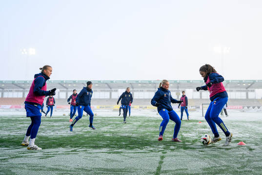 Elin Westlund, Matilda Nildén and Jo-Anne Agbor Tataw