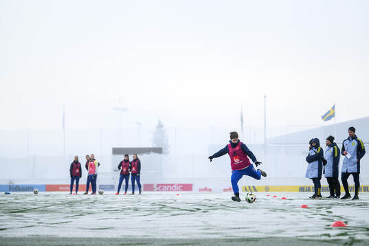 Players of the Swedish women's under-23 national team at a