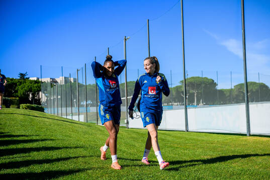 Madelen Janogy and Linda Sembrant of the women's national