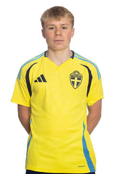 Mijo Johansson