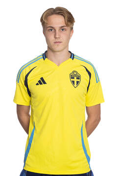 Hannes Burlion