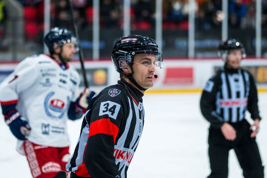 Domare Niclas Lundsgaard