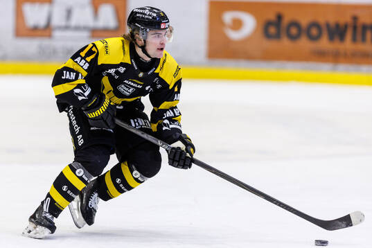 Västerås Michal Svrcek