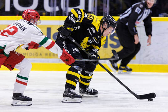 Västerås Niclas Lundgren