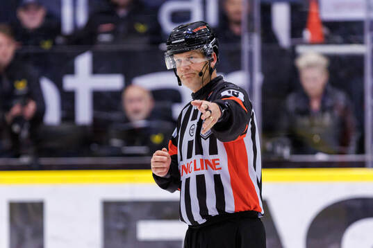 Domare Mikael Nord