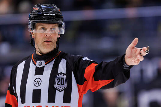 Domare Mikael Nord