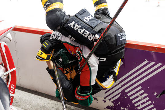 Frölundas Jacob Peterson och Skellefteås Max Krogdahl