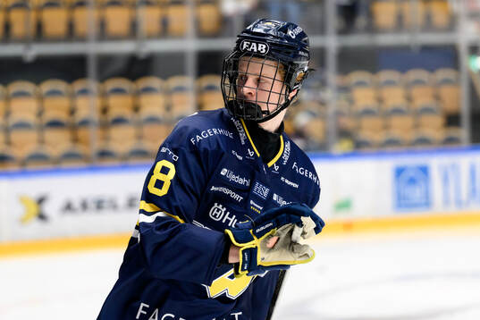 HV71s Malte Gustafsson