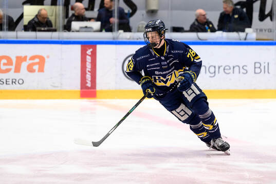 HV71s Malte Gustafsson  ishockeymatchen i SHL mellan HV71