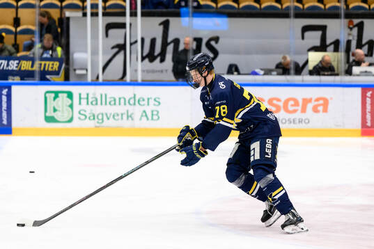 HV71s Malte Gustafsson
