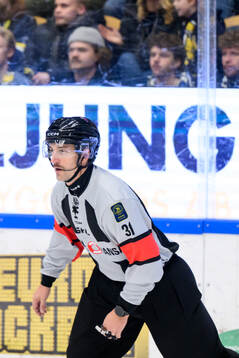 Domare Kristoffer Folkstrand
