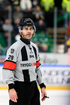 Domare Richard Magnusson