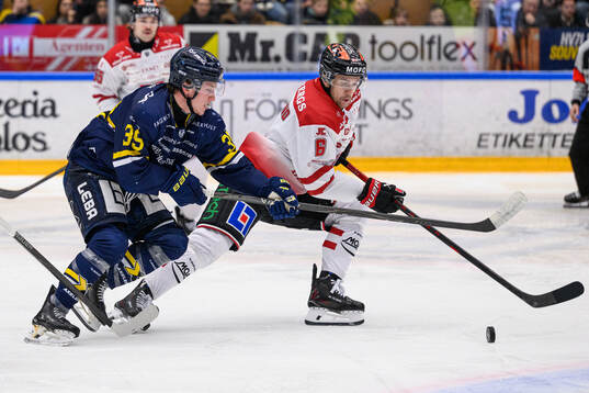 HV71s Jamiro Reber och Örebros Filip Berglund