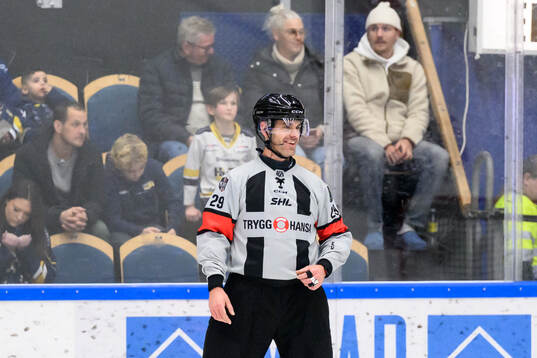 Domare Richard Magnusson
