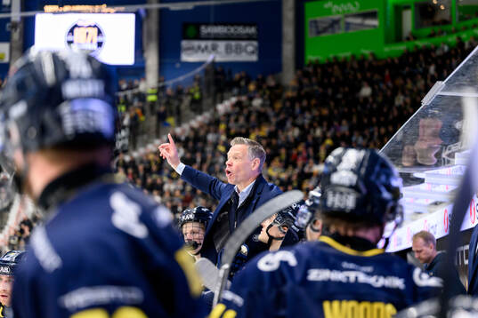 HV71s tränare Nicklas Rahm