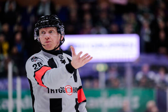 domare Mikael Holm