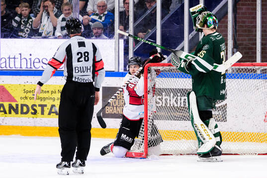 Malmö Redhawks Lauri Pajuniemi deppar