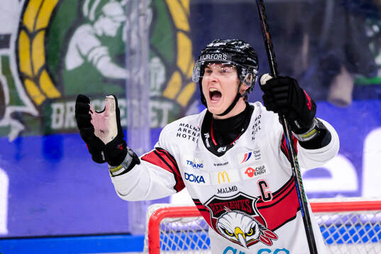 Malmö Redhawks Fredrik Händemark jublar