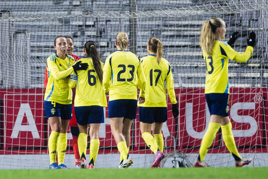 Players of Sweden celebrates