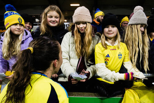 Supporters of Sweden the under-23 international friendly