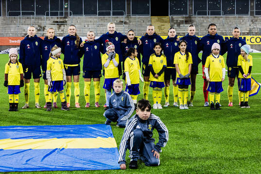 Players of Sweden