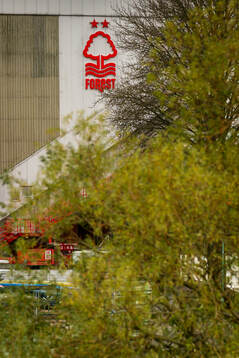 General view of the City Ground