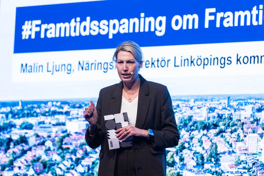 Malin Ljung Näringslivsdirektör i Linköpings kommun