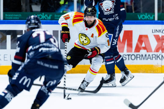 Brynäs Anton Rödin