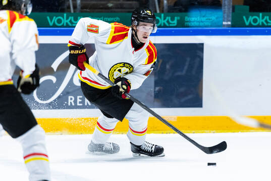 Brynäs Lucas Pettersson