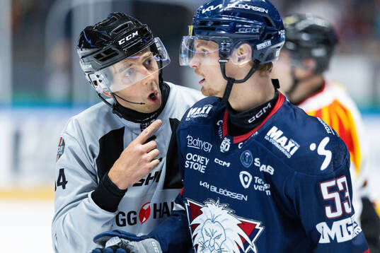 Linjedomare Andreas Malmqvist och Linköpings Adam Hofbauer