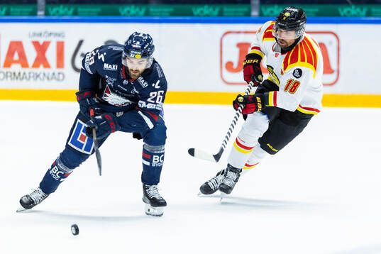Linköpings Max Martin och Brynäs Anton Rödin