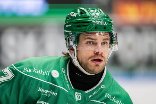 Rögles Leon Bristedt