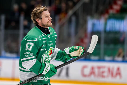 Rögles Leon Bristedt