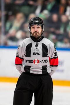 Domare Mattias Enroth