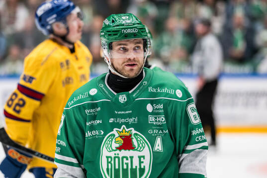 Rögles Leon Bristedt