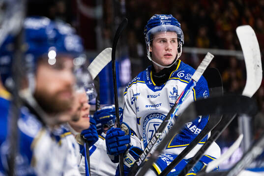 Leksands Tinus Luc Koblar