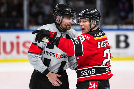 Domare David Laksola och Luleås Erik Gustafsson