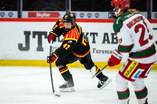 Brynäs Viivi Vainikka
