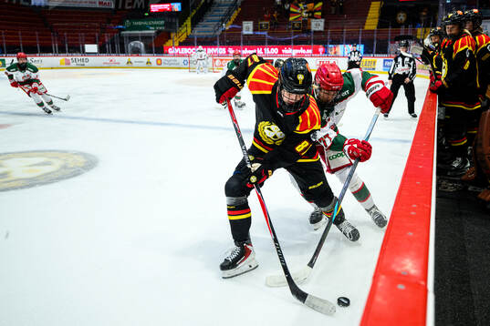 Brynäs Anna Brenkle och Modos Neena Brick