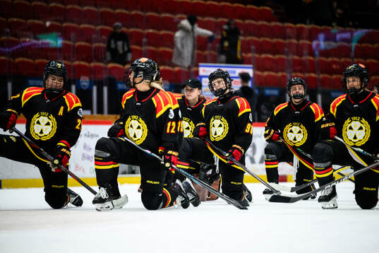 Brynäs Tilde Sundnäs Grillfors jublar med lagkamrater