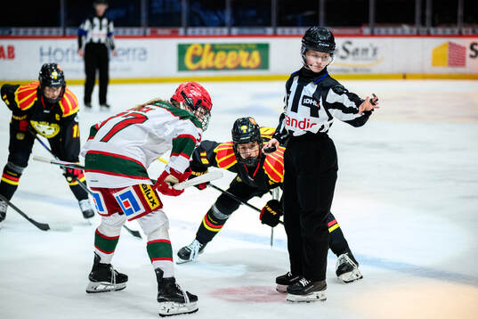 Linjedomare Wilma Gustafsson