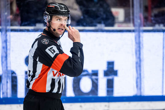 Domare Stefan Leijonklo